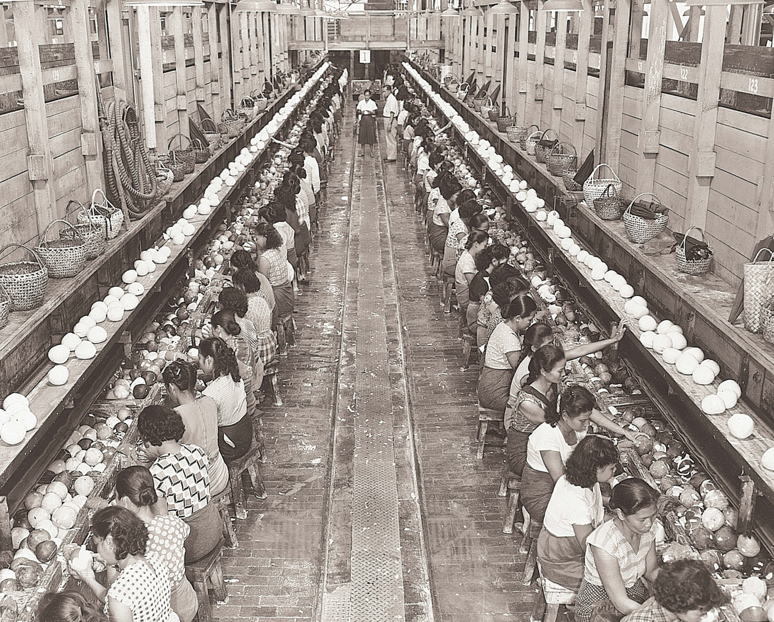 1950s